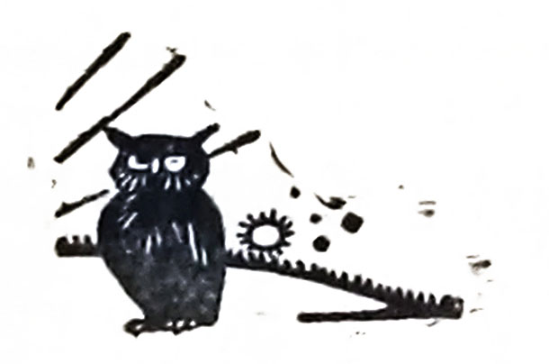 owl-white